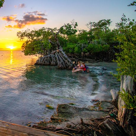 san-juan-mangrove-beach