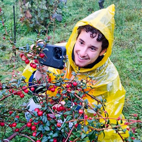 santiago-child-boy-poncho-tree-berries