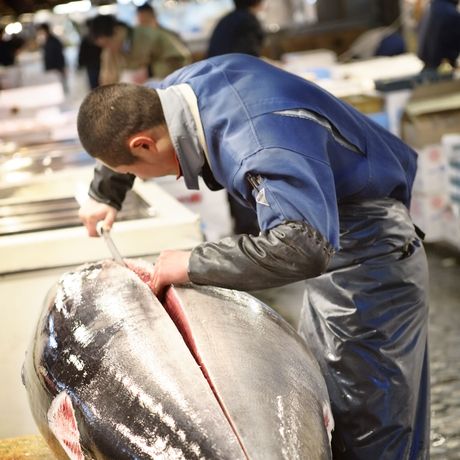 tokyo-tsukiji-market-tuna-prep