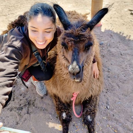 buenos-aires-girl-alpaca-selfie