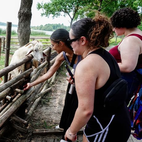 shanghai-girls-goat-chongming-island