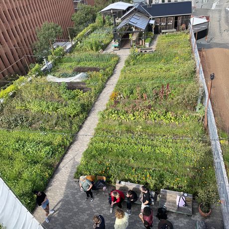 copenhagen-ostergro-rooftop-farm