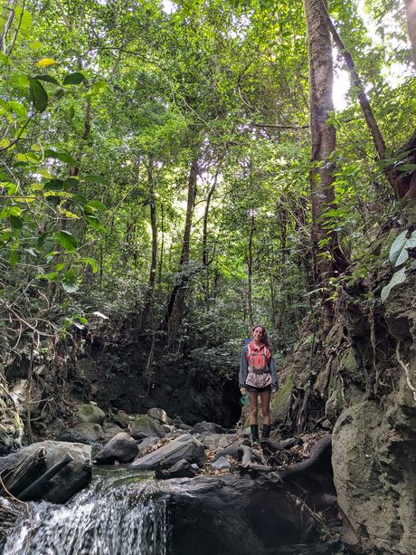 tropical-ecology-at-san-gerardo-bio-station.jpg
