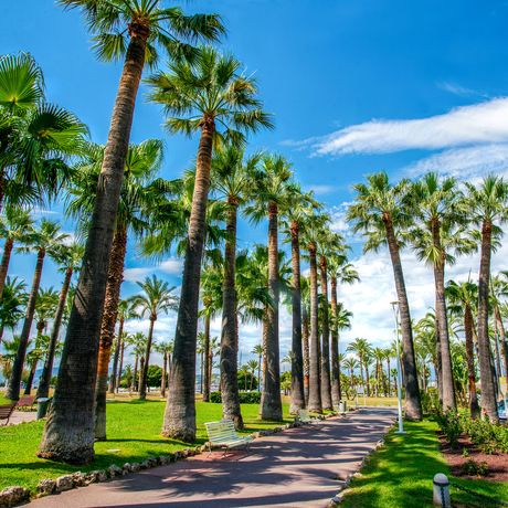 nice-promenade-de-la-croisette