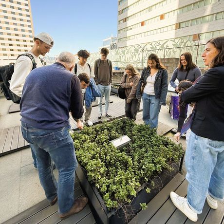 lisbon-students-sustainabile-tourism-course