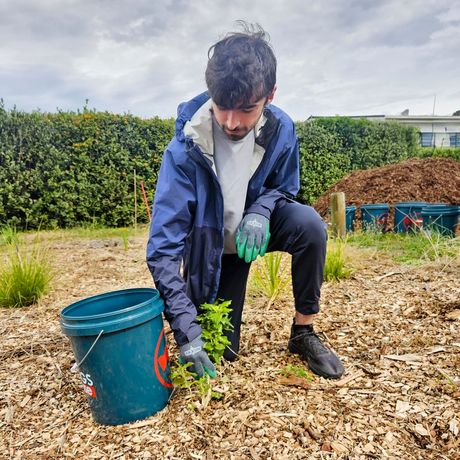 auckland-male-student-tree-care-event