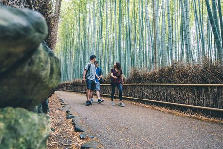 kyoto-students-walking-arashiyama-bamboo-forest