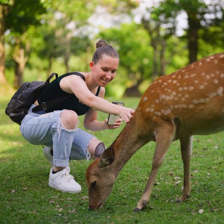 osaka-nara-deer-park-female-petting-deer