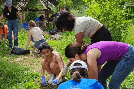 yucatan-students-serving-at-beekeeping-farm.png