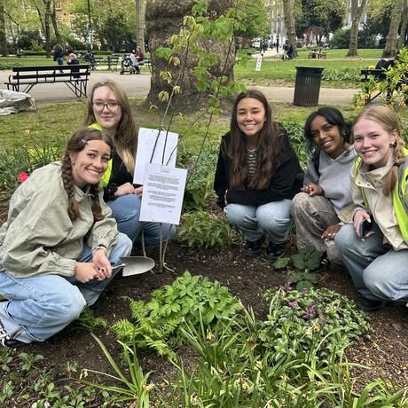 Students volunteering time for tree planting in London