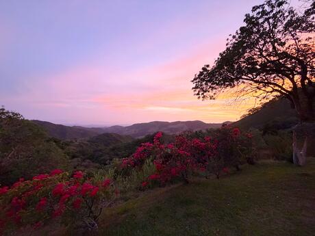 monteverde-sunset2.jpg