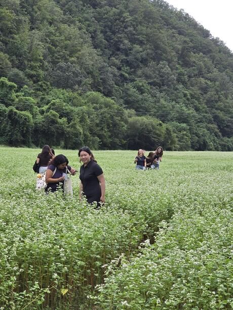 seoul-students-in-andong.jpg