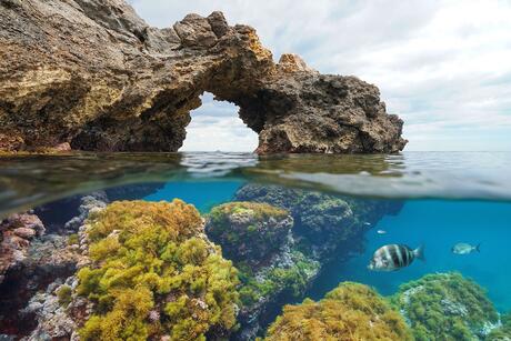 rock-formation-with-fish.jpg