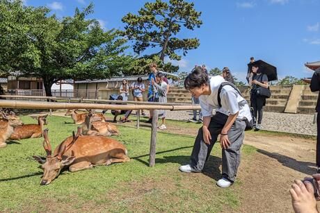 kyoto-student-at-nara-deer-park.jpg
