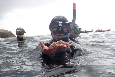 hssa-lisbon-student-snorkeling