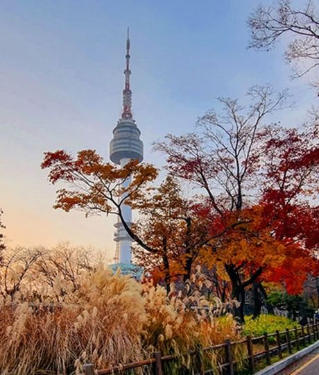 seoul tower fall sunset