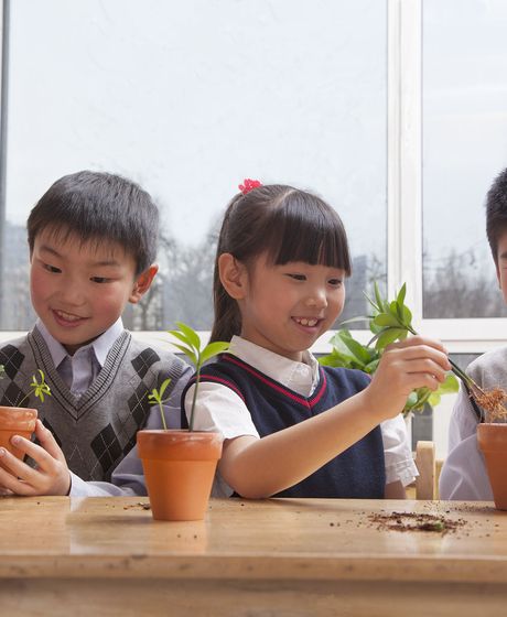Kids putting plants in pots in classroom