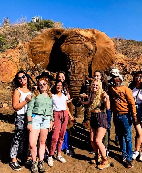 gaborone student group posing with an elephant