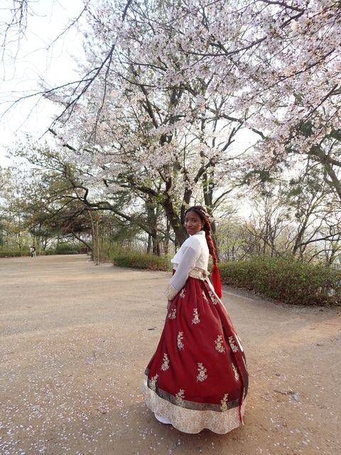 Photo of the Author, Kristie, in a Hanbok surrounded by cherry blossoms