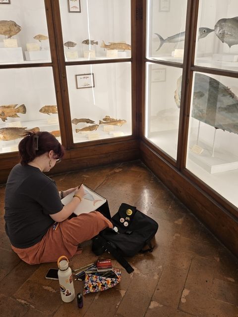 Student drawing at the La Specola Natural History Museum in Florence, Italy