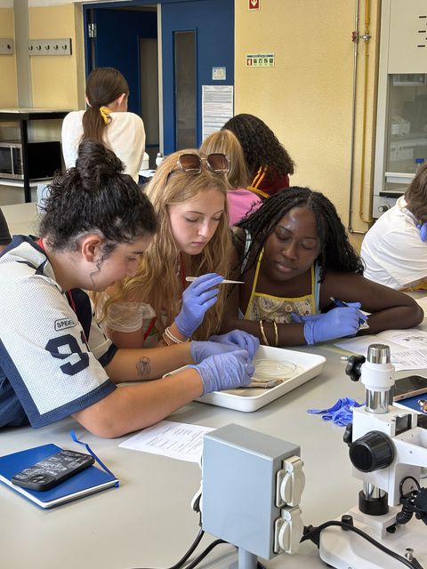 Students doing lab work in a group