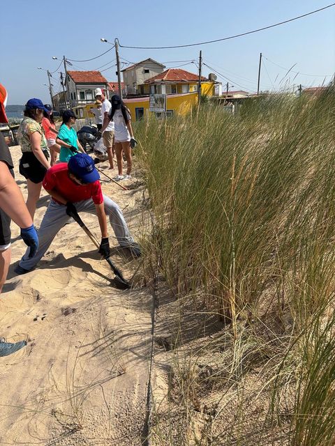 Student participant digging at beach in Lisbon for conservation efforts