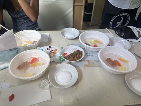 Setup of Curry Shokuhin Making