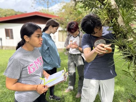 Students measuring a tree in Monteverde for class assignment