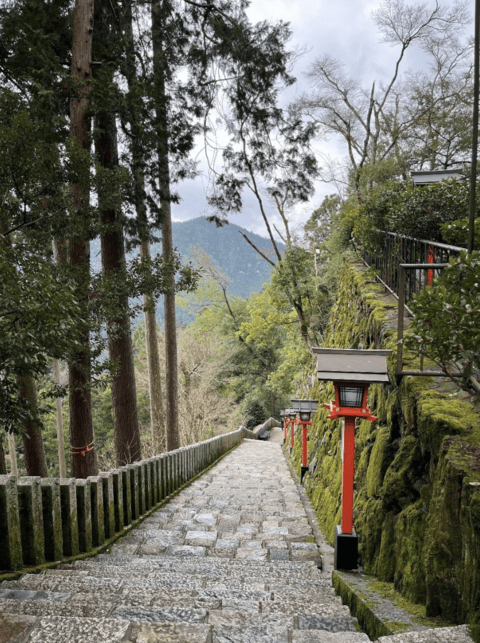 Kuramadera - You get to hike and visit temple at the same time. The entire mountain is a temple. 