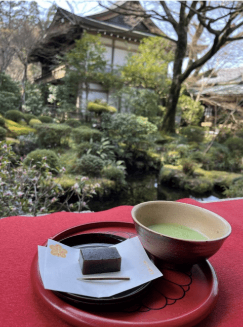 Ohara Sanzen-in. you can enjoy this beautiful garden while having matcha and Japanese sweets.