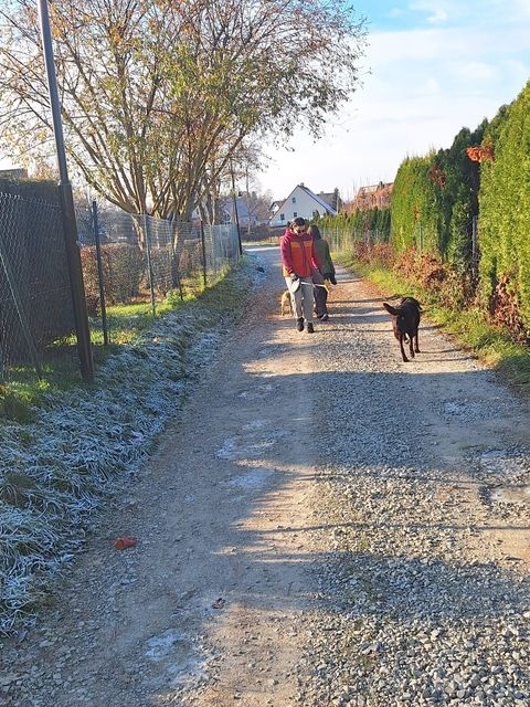 Out on a winter walk