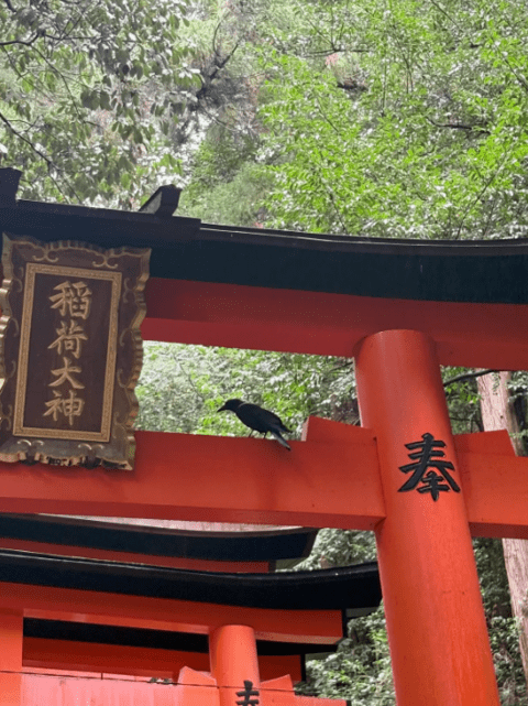 torii-with-crow