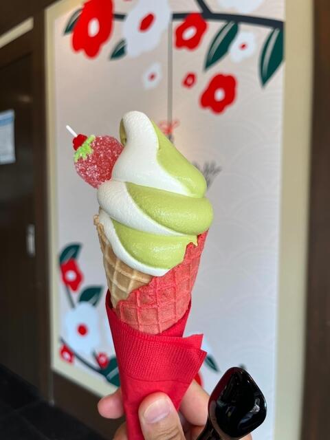 Matcha Vanilla Ice Cream at Kitano Tenmangu Shrine