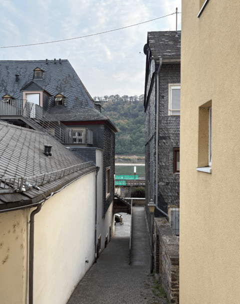 The view from her window