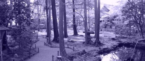 Background image for