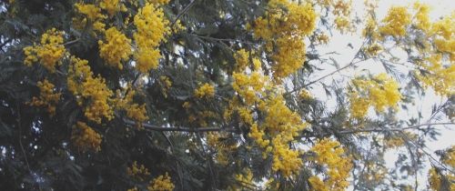 Background image for