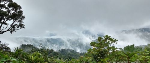 Background image for