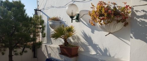 Background image for