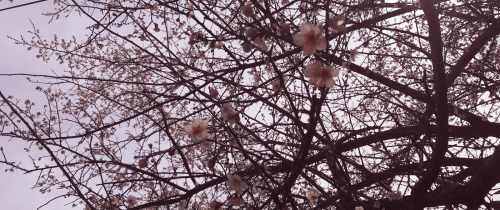 Background image for