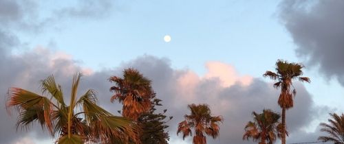 Background image for