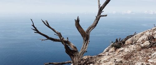 Background image for