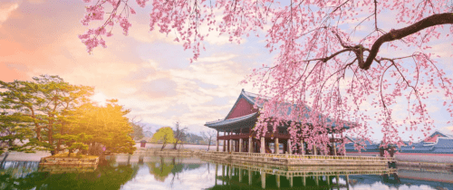 Background image for