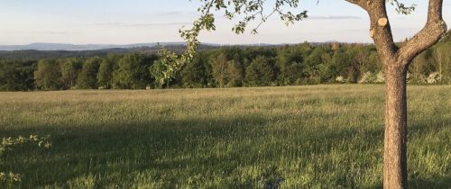 Background image for