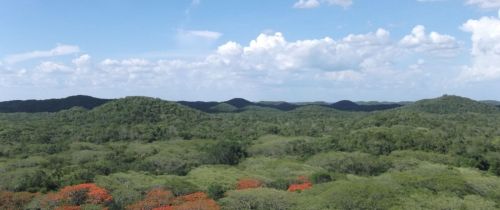 Background image for