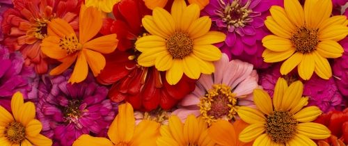 Background image for