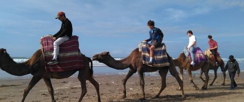 Gap year abroad students on camels in Morocco