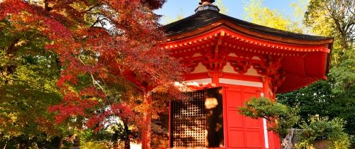 red temple in japan fall seasons