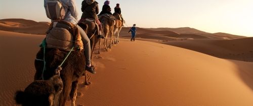 camel ride in morocco study abroad