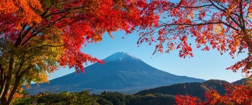 Mount Fuji in the fall