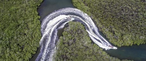 _Study Abroad_Dominican Republic_drone manglar